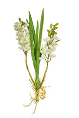 SF Orchid Cymbidium Plant IA White 72cm- TL7502