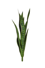 Snake Plant, Green - 62cm