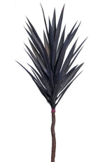 Yucca Stem - 120cm