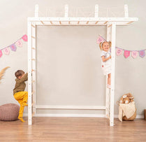 Monkey Bar with Bridge - Active Kids Play Equipment