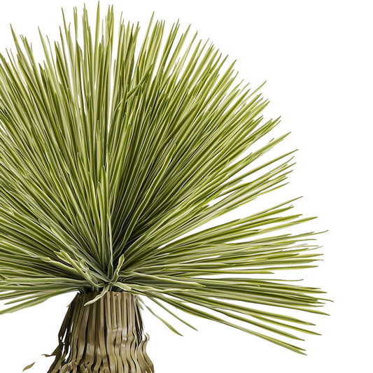 Close-up of a green plant with long, thin leaves on a white background