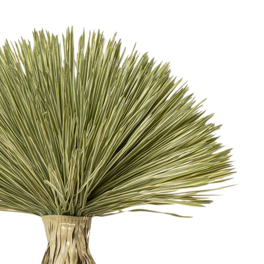 Bunch of dried palm leaves on a white background