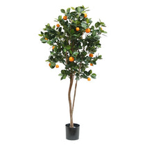 Orange Fruit Tree