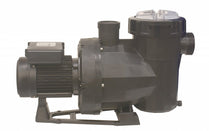 Astral Pool Pump Victoria Plus | Aquatic Pools And Fountains by Aquatic Pools & Fountains LLC | Souqify