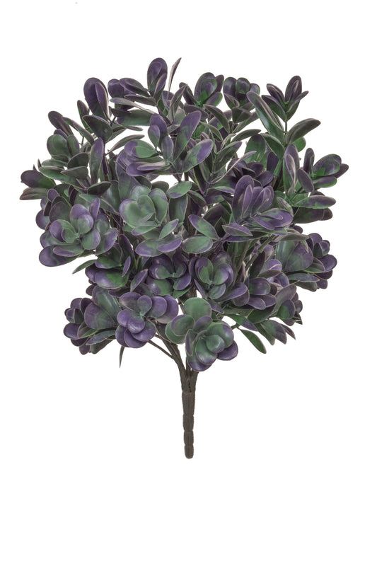 Boxwood, Green/Purple - 40cm by Foliages | Souqify