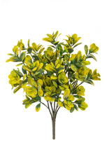 Boxwood, Green/Yellow - 40cm by Foliages | Souqify