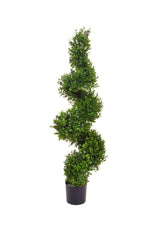 Buxus Spiral - 90cm by Foliages | Souqify