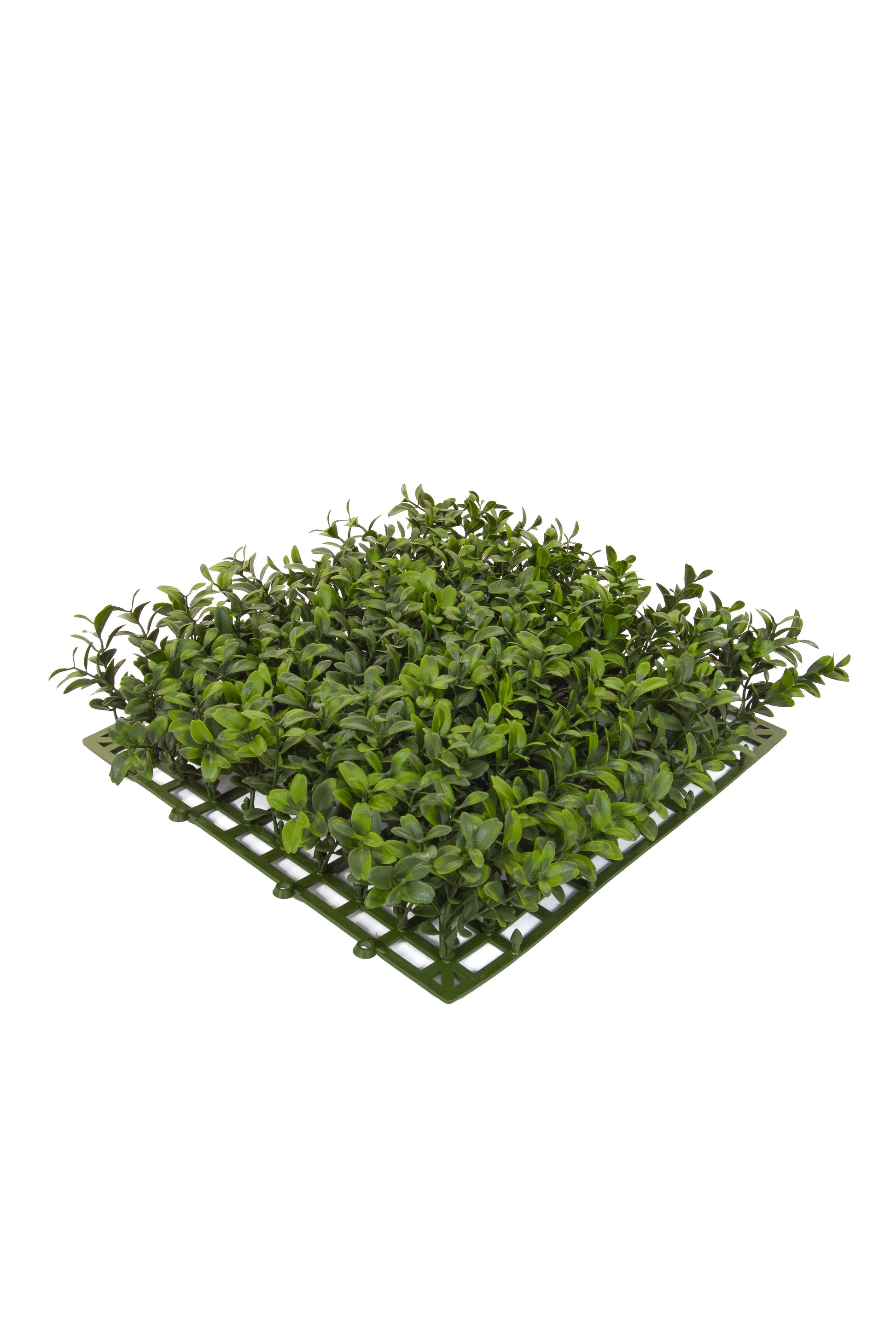 Buxus Top Panel - 25cm x 25cm by Foliages | Souqify