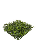 Buxus Top Panel - 25cm x 25cm by Foliages | Souqify