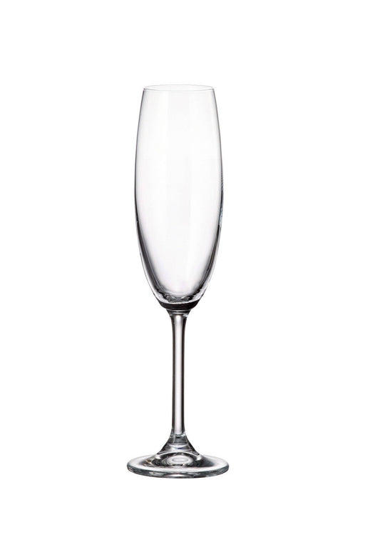 COLIBRI FLUTE 220 ml by Skyland | Souqify