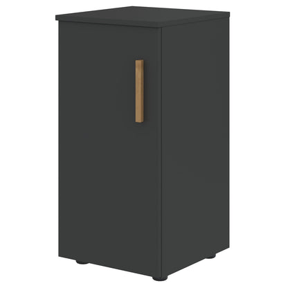 EXECUTIVE LOW HEIGHT CABINET WITH SWING DOOR, MADE IN E1 LAMINATE CHIPBOARD by Treejar | Souqify