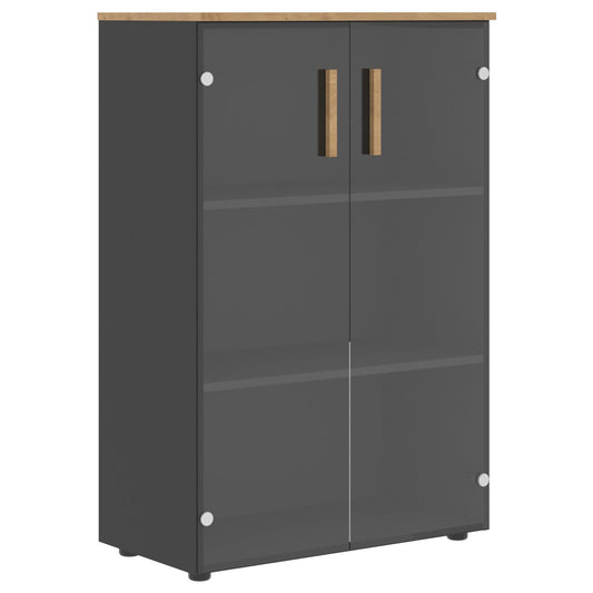 EXECUTIVE MEDIUM HEIGHT CABINET, MADE IN E1 LAMINATE CHIPBOARD, WITH WOODEN SWING DOOR by Treejar | Souqify