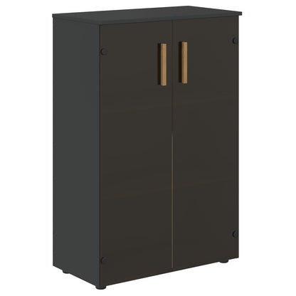 EXECUTIVE MEDIUM HEIGHT CABINET, MADE IN E1 LAMINATE CHIPBOARD, WITH WOODEN SWING DOOR by Treejar | Souqify