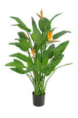 Flowering Bird of Paradise - 120cm by Foliages | Souqify