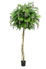 Flowering Wisteria - 210cm by Foliages | Souqify