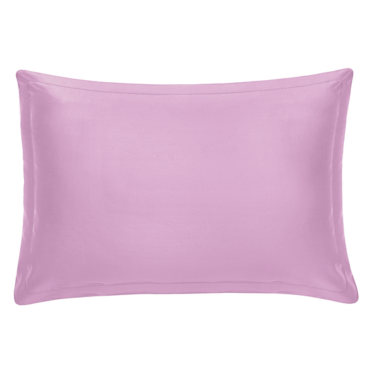 Giza Cotton Shams by 1 | Souqify