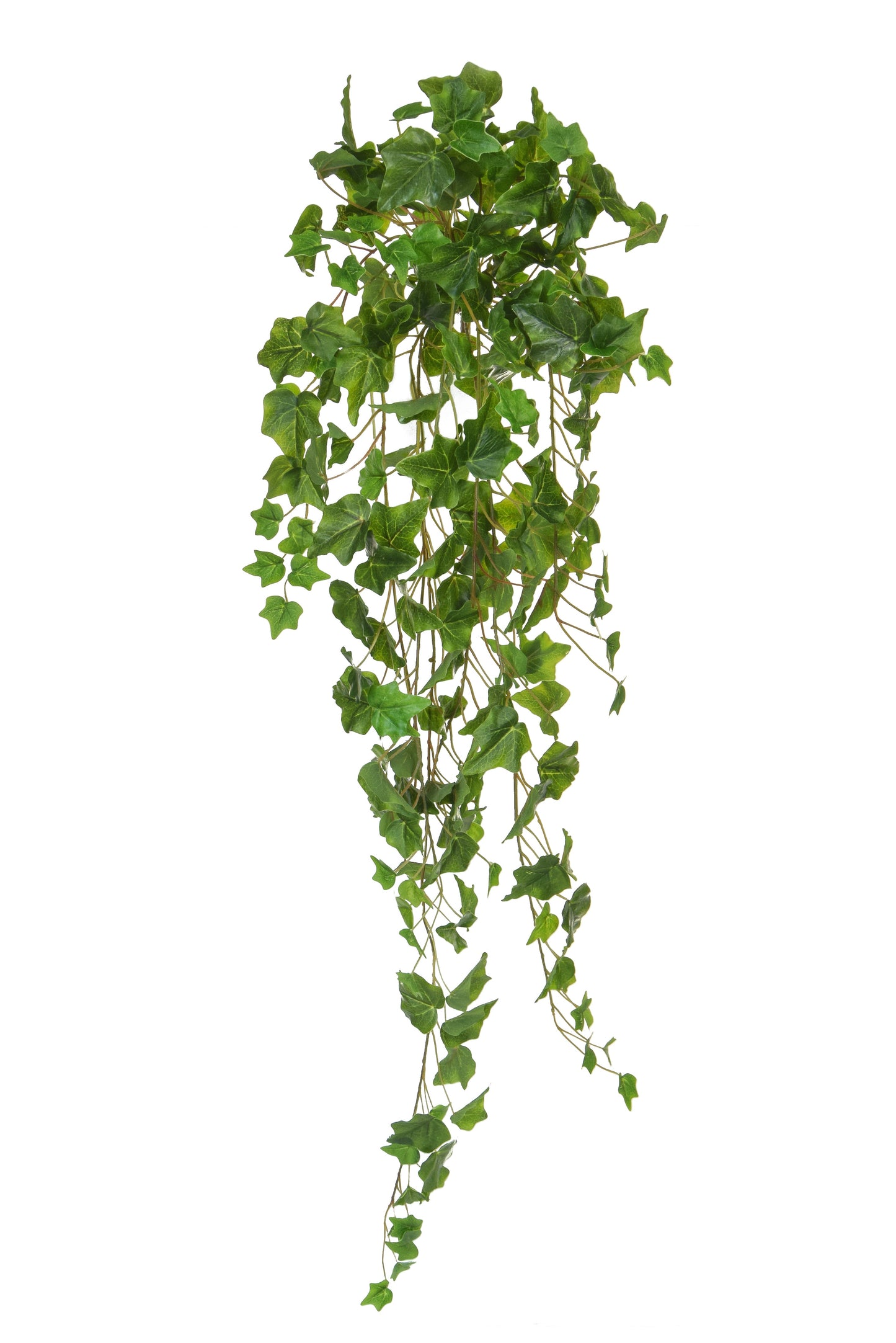 Hanging English Ivy - 100cm by Foliages | Souqify