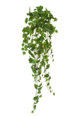 Hanging English Ivy - 100cm by Foliages | Souqify