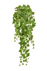 Hanging Ivy Trail - 86cm by Foliages | Souqify