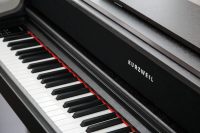 Kurzweil CUP410 140 x 92 cm by House Of Pianos | Souqify