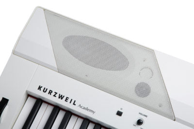 Kurzweil KA90 13.7 cm (H) x 136.5 cm (W) x 36.6 cm (D) by House Of Pianos | Souqify