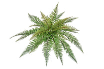 Leather Fern Bush - 48cm by Foliages | Souqify