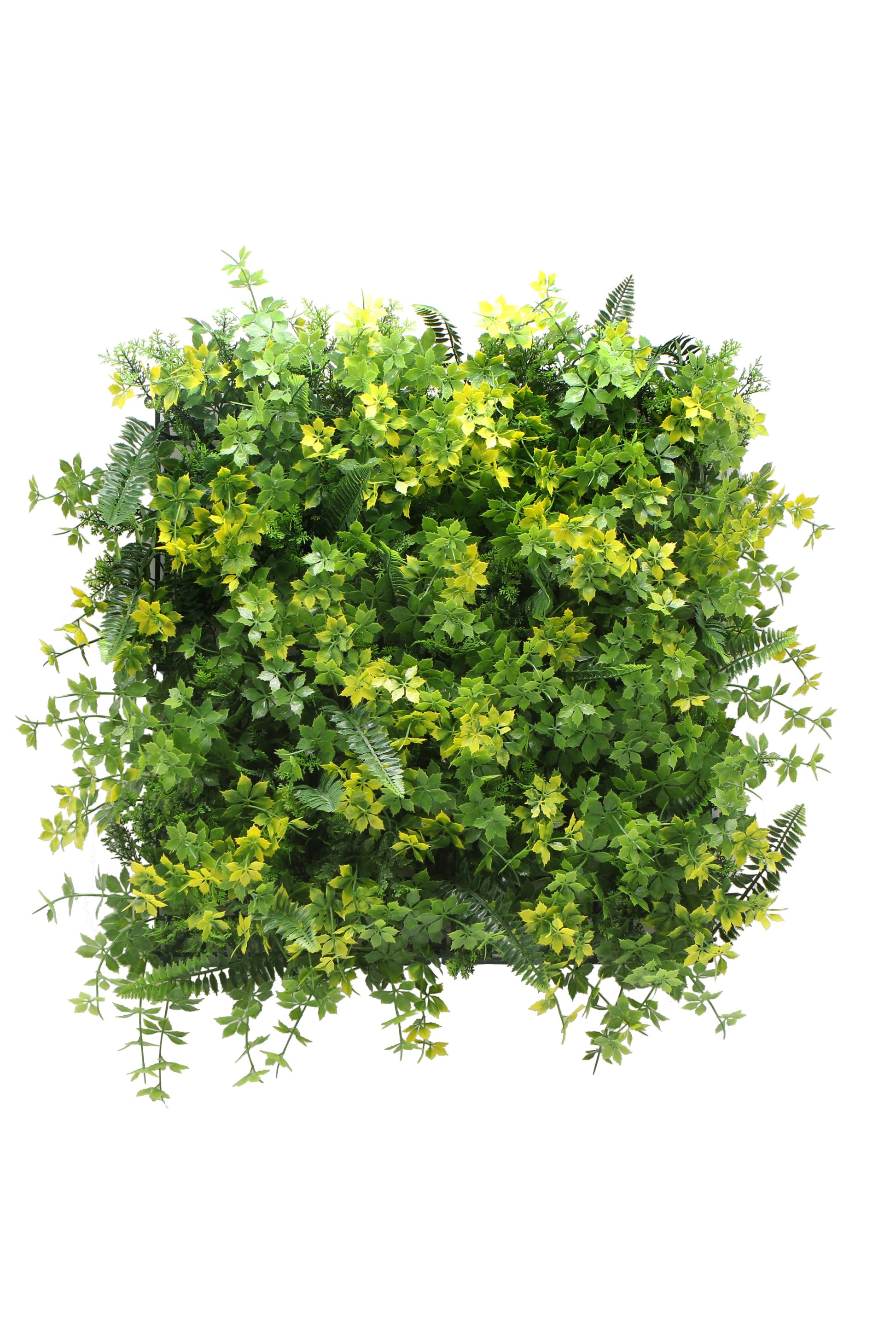 Mixed Spring Panel - 100cm x 100cm by Foliages | Souqify