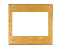 Gold Frame Liner Electric Wall Cover