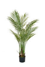 Palm Tree - 150cm by Foliages | Souqify