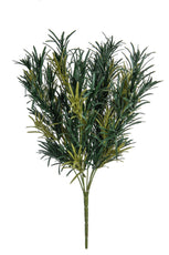 Podocarpus, Grey - 42cm by Foliages | Souqify