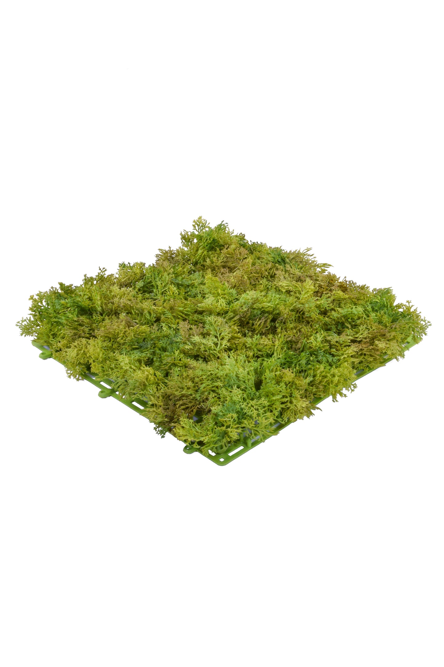 Reindeer Mat, Dark Green - 25cm x 25cm by Foliages | Souqify