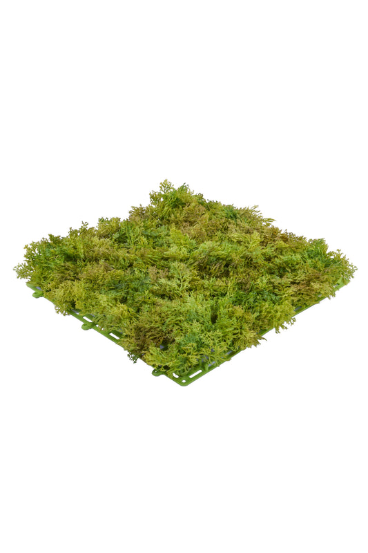 Reindeer Mat, Dark Green - 25cm x 25cm by Foliages | Souqify