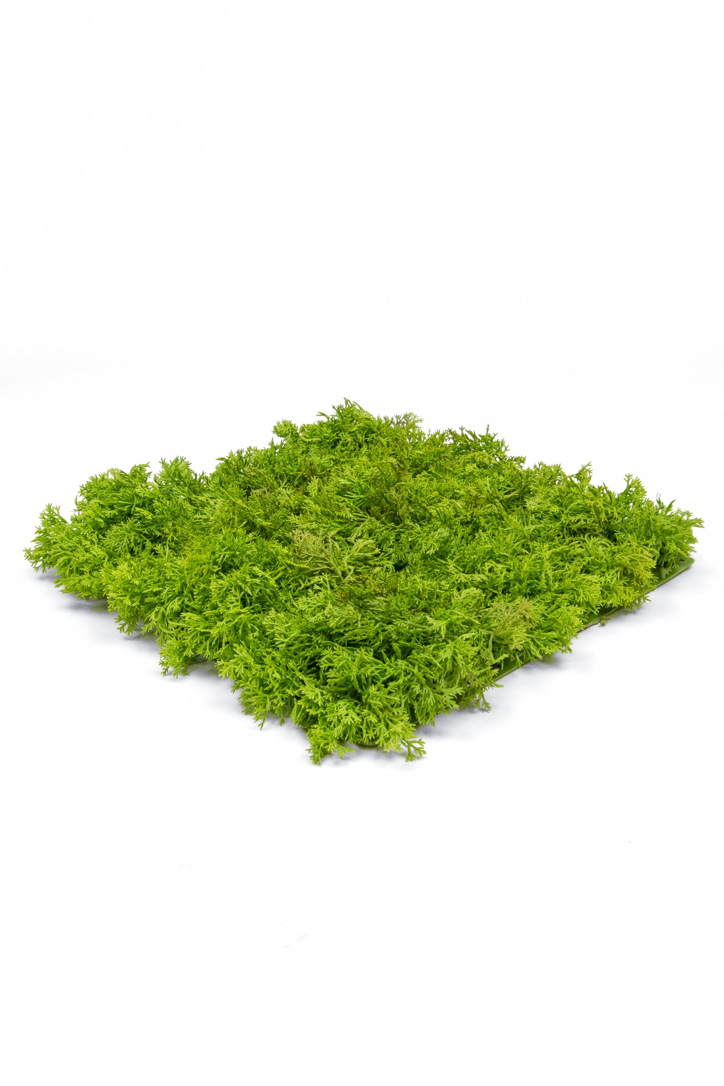 Reindeer Mat, Green - 25cm x 25cm by Foliages | Souqify