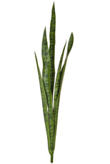 Snake Plant, Green - 107cm by Foliages | Souqify