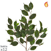 Foliage Ficus Exotica Grn 55lvs 75cm FR-S1