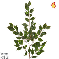 Foliage Ficus Exotica Grn 101lvs 100cm FR-S1