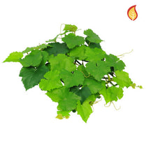 Topiary Mat Grape Vine 25x25cm Sq FR-S1