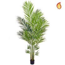 Palm Areca 180cm FR-S3