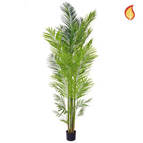 Palm Areca 240cm FR-S3