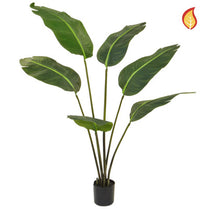 Plants Bird of Paradise 120cm FR-S3