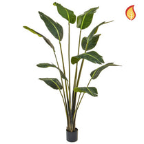 Plants Bird of Paradise 180cm FR-S3