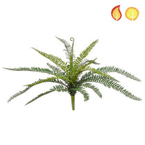 Plants Base Boston Fern SF 52cm FR UV-S4