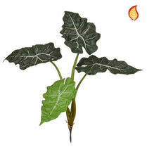 Plants Base Alocasia Bush 49cm FR-S1