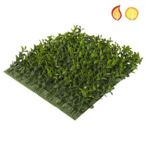 Topiary Mat Bux Side 25x25cm FR UV-S2