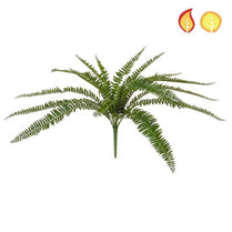 Plants Boston Fern 55cm FR UV-S2