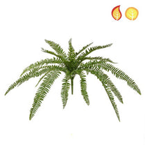 Plants Boston Fern 70cm FR UV-S2