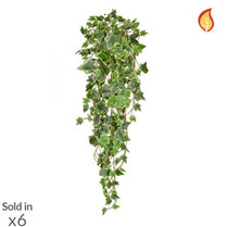 I & T Ivy Trailing Variegated 86cm FR-S2