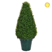 Topiary Rosemary Tower 75cm UV