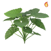 Plants Alocasia Calidora 84cm FR-S1