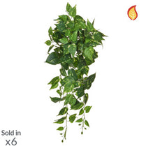 I & T Pothos Trail 80cm FR-S2